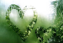 包含摩纳哥客场战平南特，保持法甲不败纪录的词条